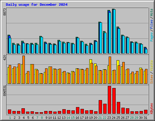 Daily usage for December 2024