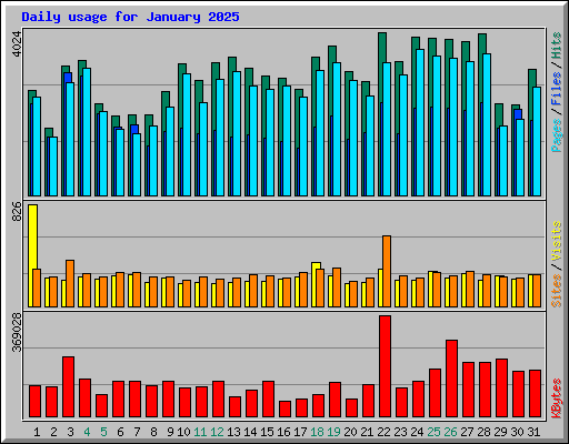 Daily usage for January 2025