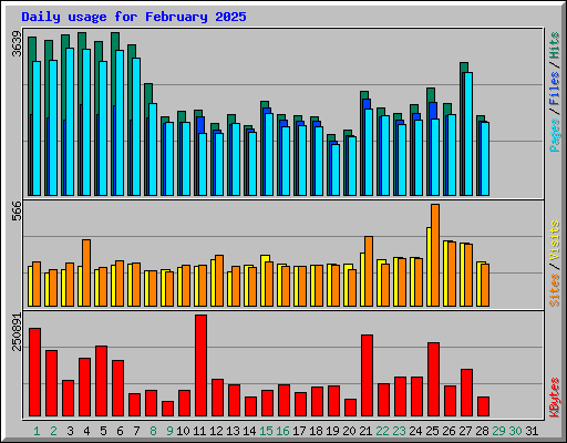 Daily usage for February 2025