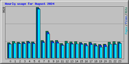 Hourly usage for August 2024