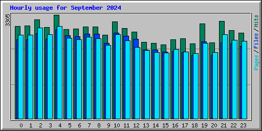 Hourly usage for September 2024