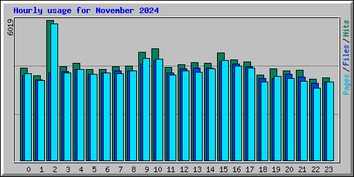 Hourly usage for November 2024