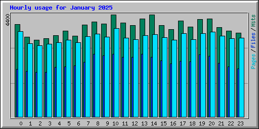 Hourly usage for January 2025