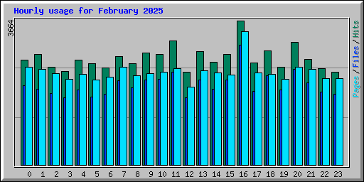 Hourly usage for February 2025