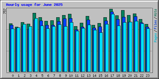 Hourly usage for June 2025