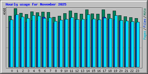 Hourly usage for November 2025