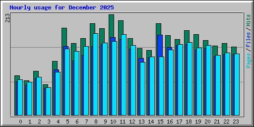 Hourly usage for December 2025