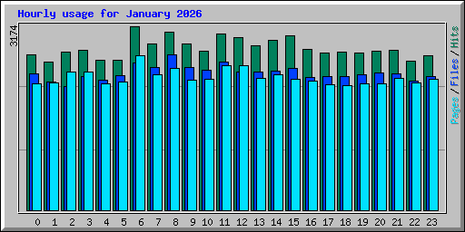 Hourly usage for January 2026